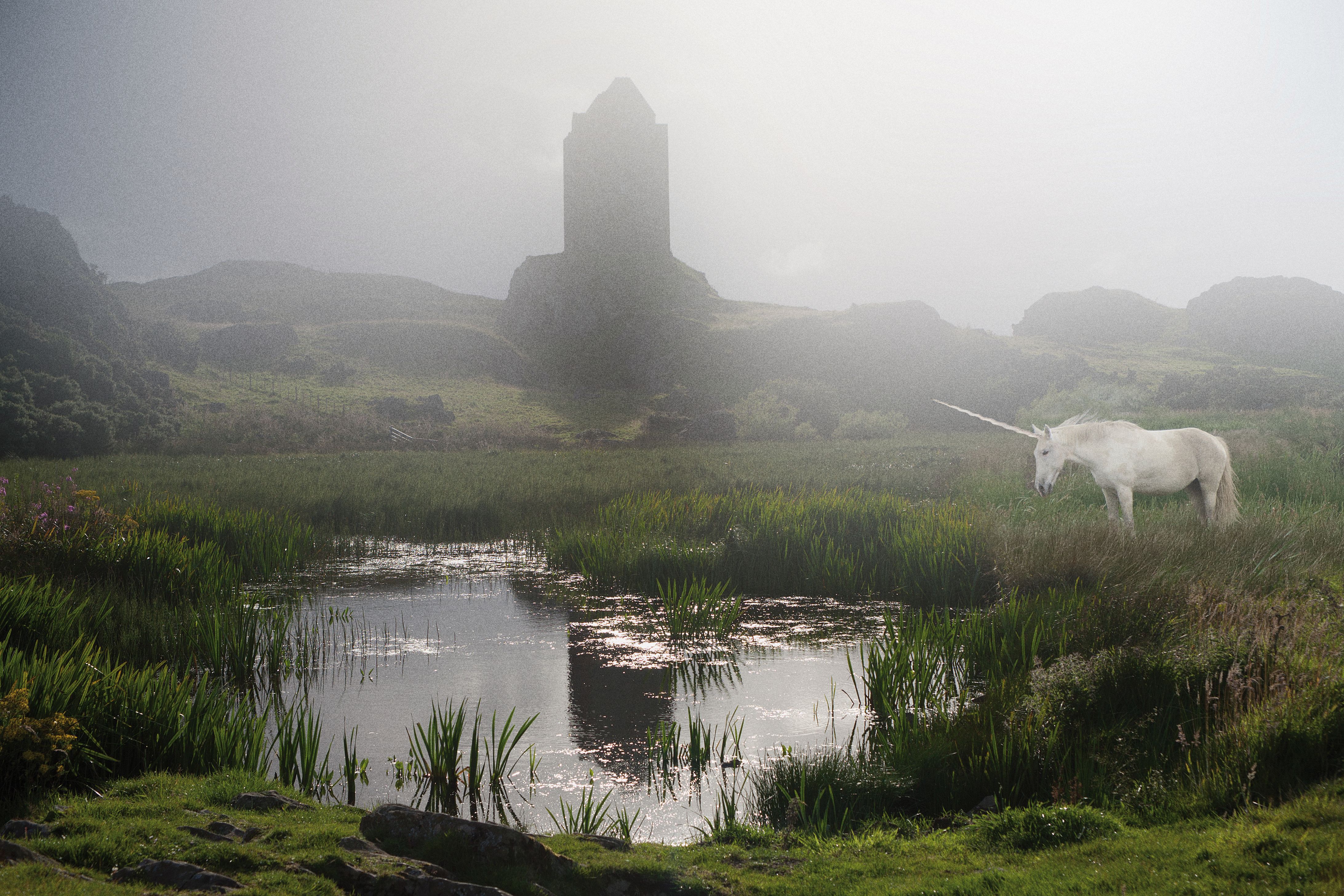 Smailholm Tower (Schottland)