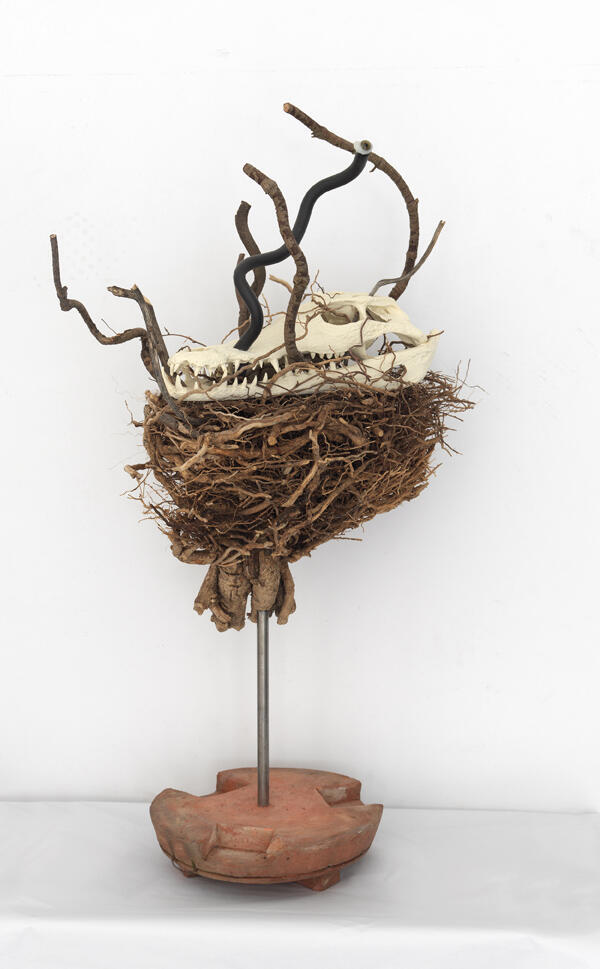 Captain Claviceps, 2014/15, Holz, Wurzeln, Filament, Ton, Gummi © Hubert Scheibl | Foto: Pixelstorm