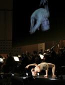 Le Sacre du Printemps: NÖ Tonkünstler Orchester. Rez.: Eva Riebler